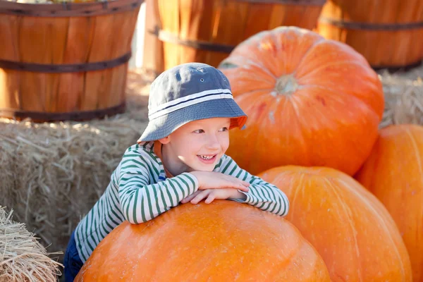 Kid op pompoen patch — Stockfoto