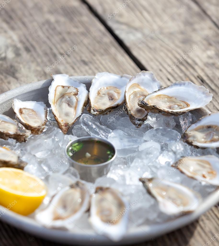 Raw oysters — Stock Photo © noblige 35162363