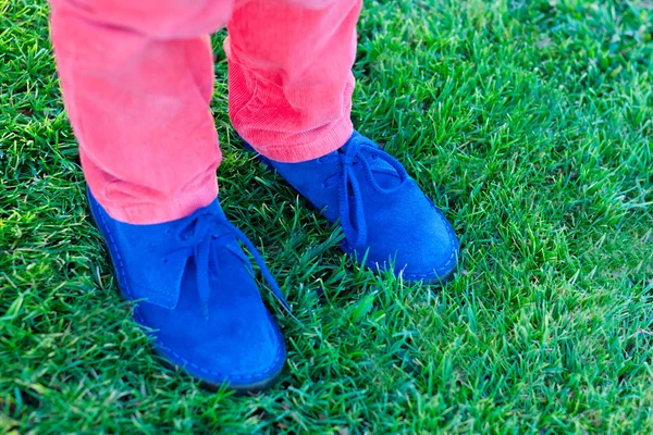 青い靴 — ストック写真
