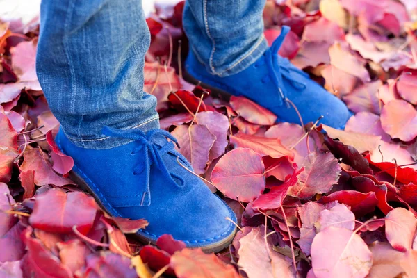 Botas azules — Foto de Stock