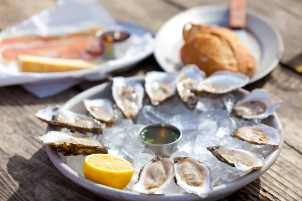 Raw oysters — Stock Photo, Image