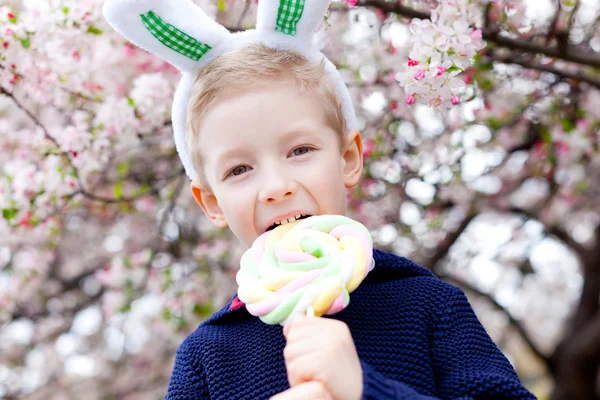 Frühlingszeit — Stockfoto