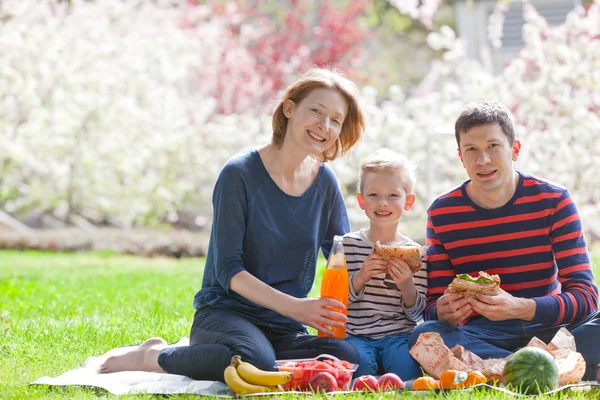 Picnic in famiglia — Foto Stock