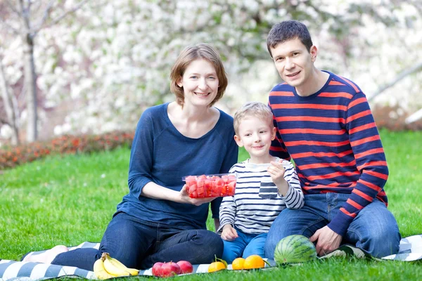 Piknik rodzinny — Zdjęcie stockowe