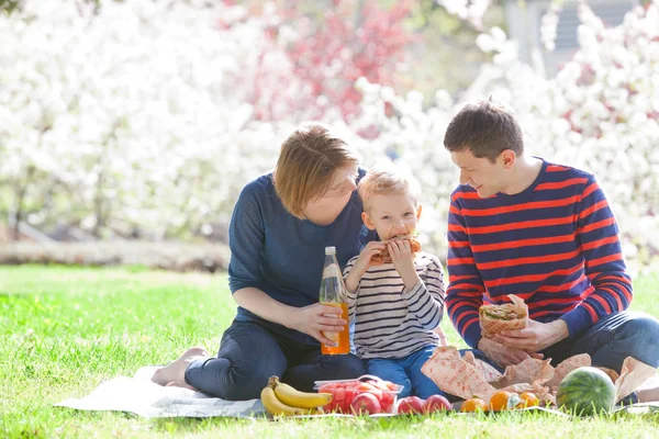 Picnic in famiglia — Foto Stock