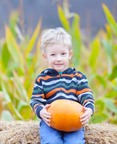 Boy at pumpkin patch — Stock Photo, Image