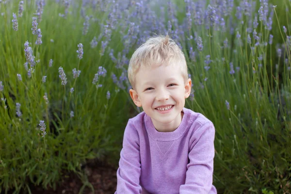 Jongen op Lavendel veld — Stockfoto