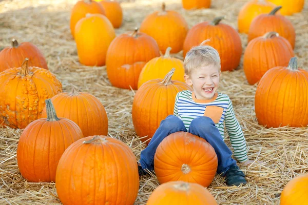 Kid op pompoen patch — Stockfoto