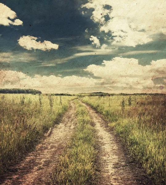 Country road in the fields — Stock Photo, Image