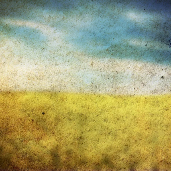 Желтый полевой рапс — стоковое фото