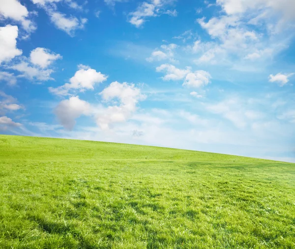 Campos de verano — Foto de Stock