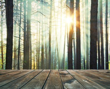 gün batımı ve zemin