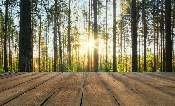 gün batımı ve zemin