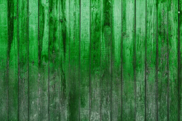 Pared verde — Foto de Stock