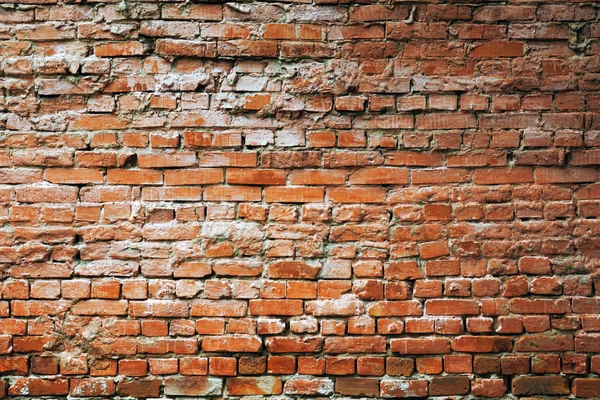 Dinding bata — Stok Foto