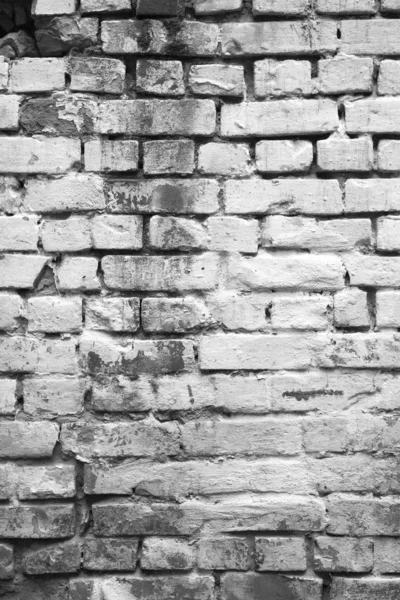 Brick wall — Stock Photo, Image