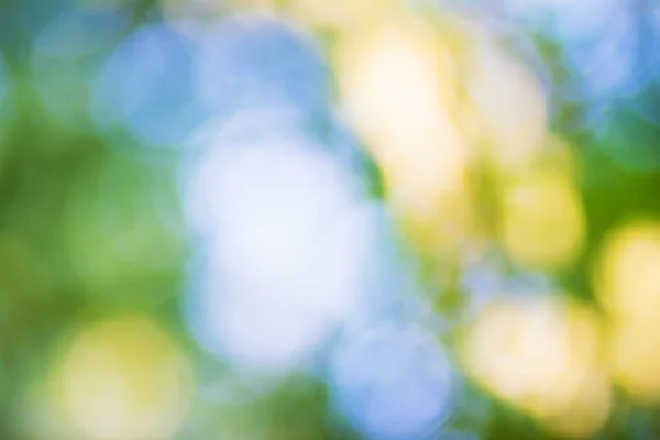 Summer bokeh — Stock Photo, Image