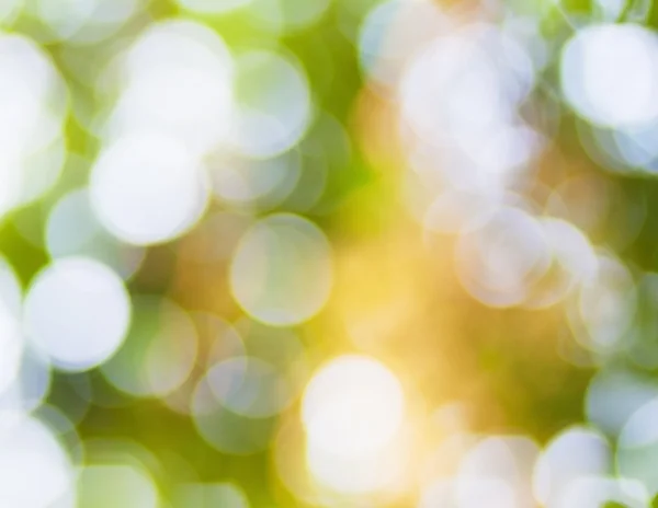 Summer bokeh — Stock Photo, Image