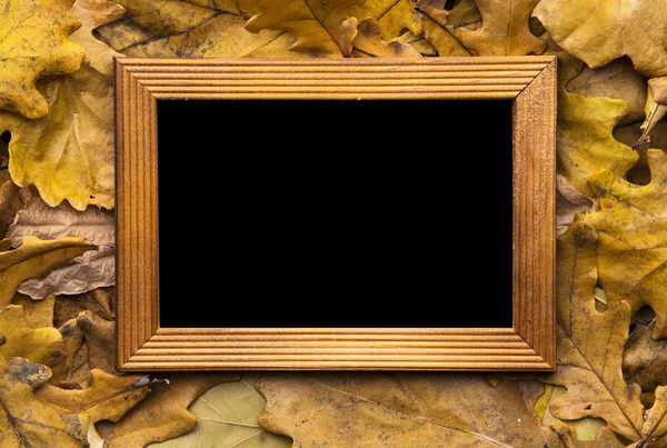 Leaves and photo frame — Stock Photo, Image