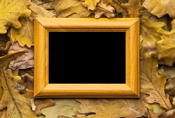 Leaves and photo frame — Stock Photo, Image