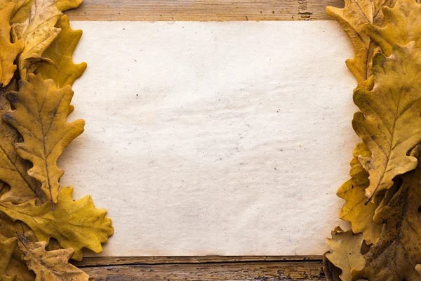 Leaves and paper on wooden background — Stock Photo, Image