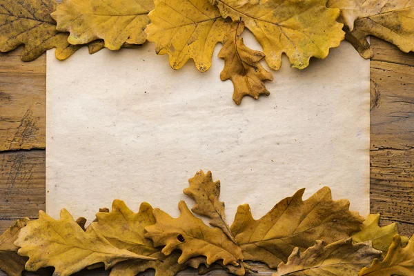 Leaves and paper on wooden background — Stock Photo, Image