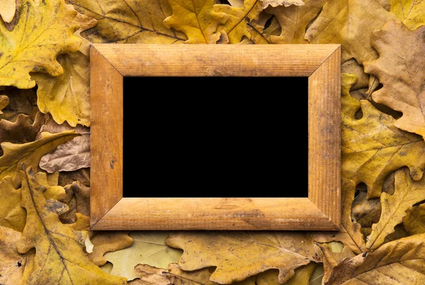 Leaves and photo frame — Stock Photo, Image