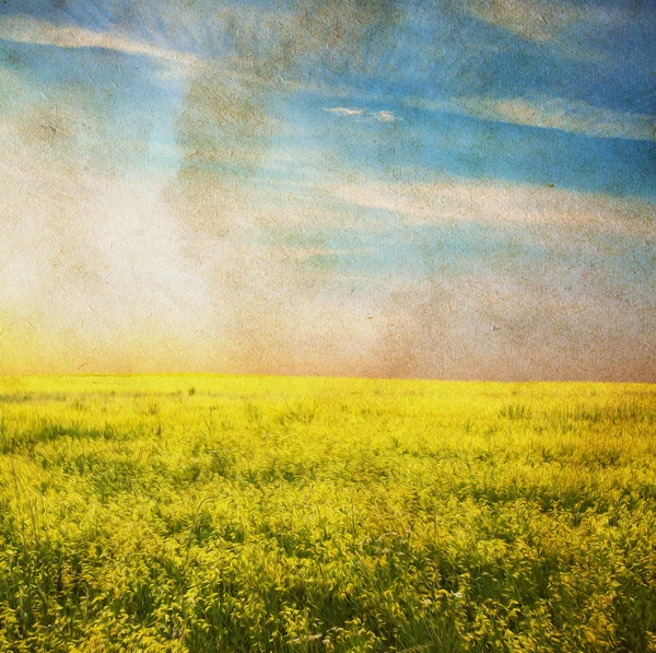 Sky and fields — Stock Photo, Image