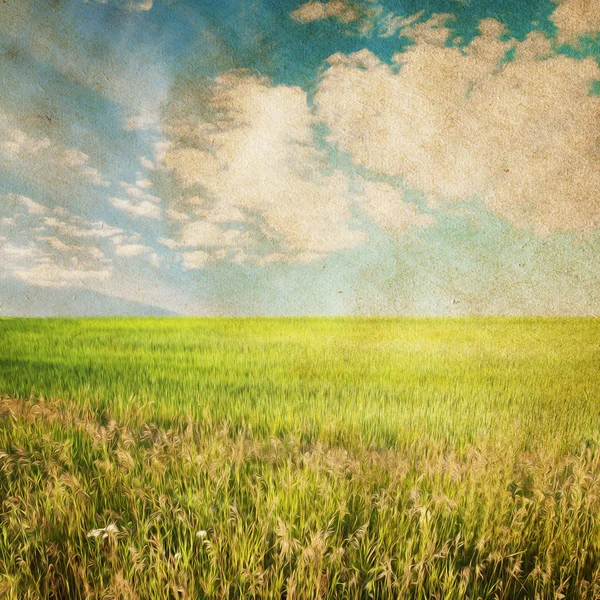 Небо и поля — стоковое фото