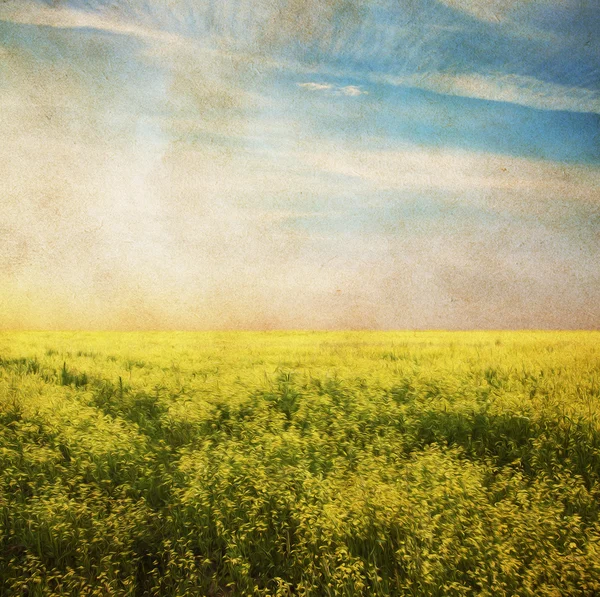 Céu e campo — Fotografia de Stock