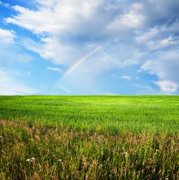 Sky and fields — Stock Photo, Image