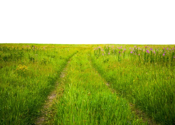 Country road through the fields — Stock Photo, Image