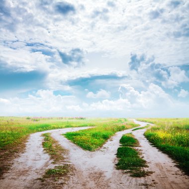 ülkede yol alanları