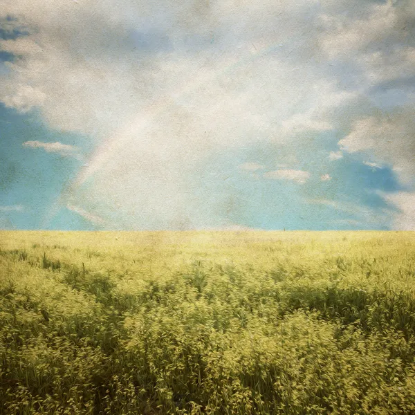Cielo y campos — Foto de Stock