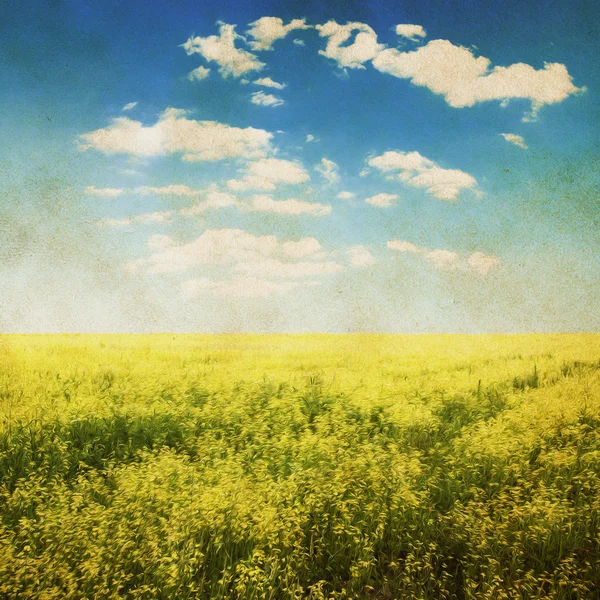 Небо и поля — стоковое фото