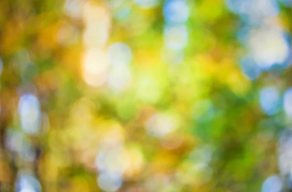 Autumn bokeh — Stock Photo, Image