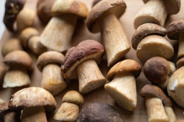 Boletus edulis, ahşap masada mantar.