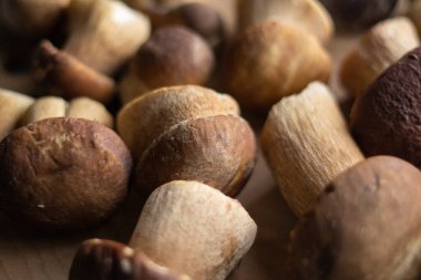 Boletus edulis, ahşap masada mantar.