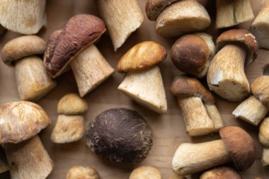 Boletus edulis, ahşap masada mantar.