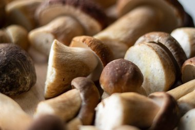 Boletus edulis, ahşap masada mantar.