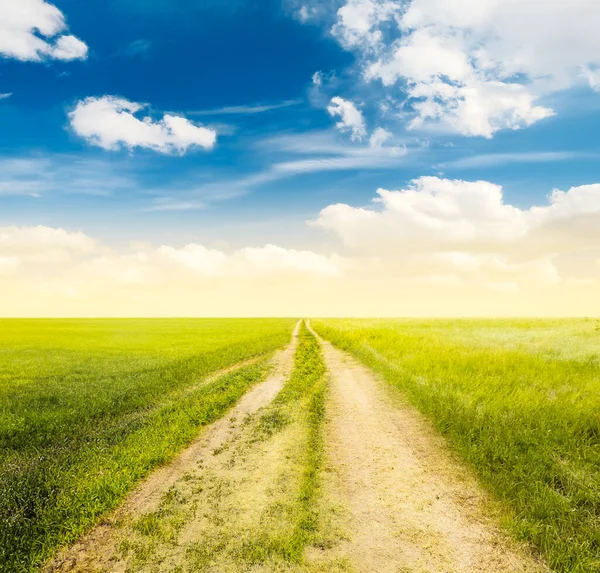 Landweg Mooie Zomervelden Landelijk Landschap — Stockfoto