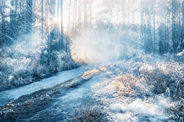 凍った雪の森の中の魔法の冬の夕日 — ストック写真