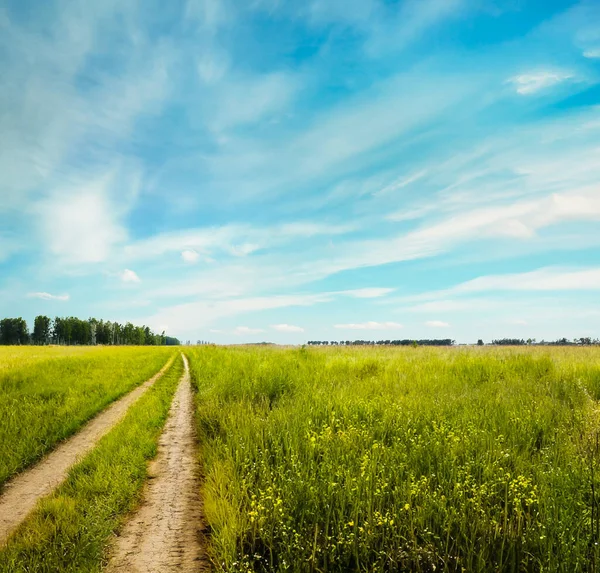 Country Road Krásná Letní Pole Venkovská Krajina — Stock fotografie