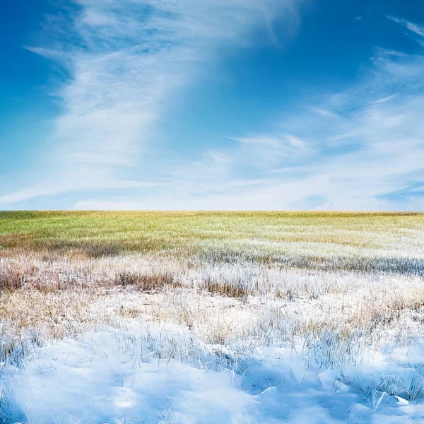 Krásná Zamrzlá Pole Zimní Krajina — Stock fotografie