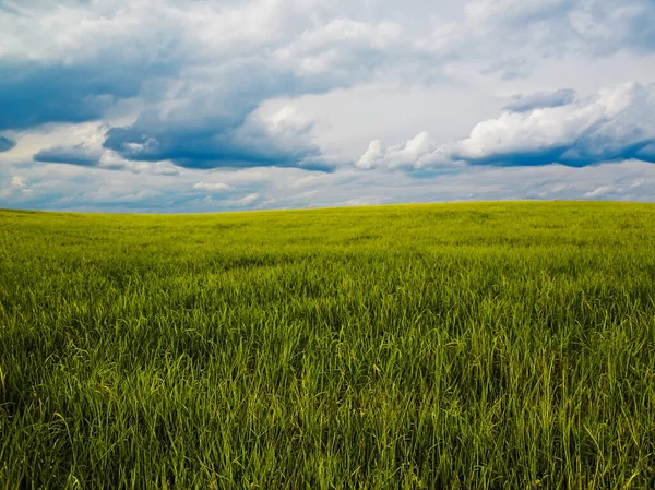 Bellissimi Campi Estivi Paesaggio Rurale — Foto Stock