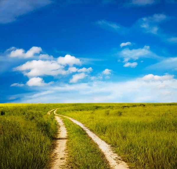 Проселочная Дорога Красивые Летние Поля Сельский Пейзаж — стоковое фото