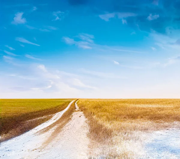 Landweg Bevroren Velden Winterlandschap — Stockfoto