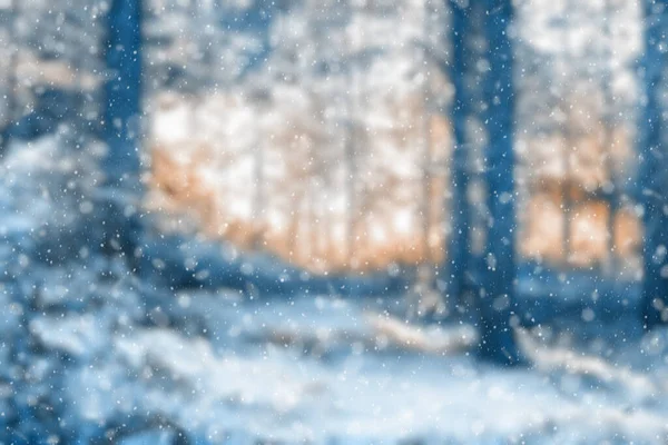 Размытый Зимний Лес Падающий Снег Bokeh — стоковое фото