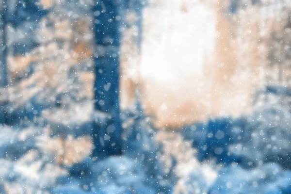 Blurred Winter Forest Falling Snow Bokeh — Fotografia de Stock