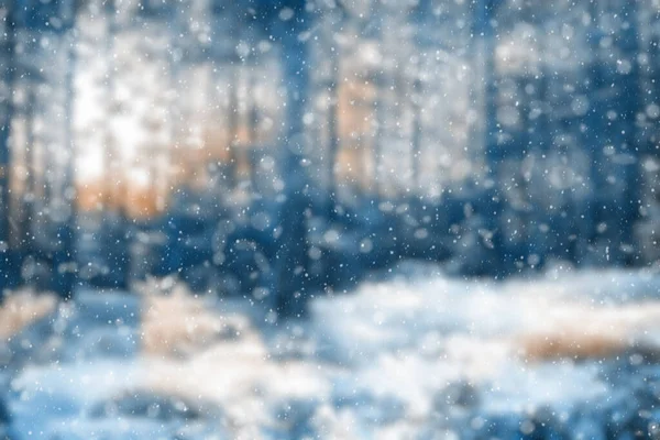 Blurred Winter Forest Falling Snow Bokeh — 图库照片